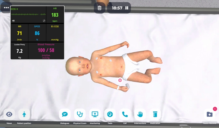 Professional Nursing Development Through Simulation